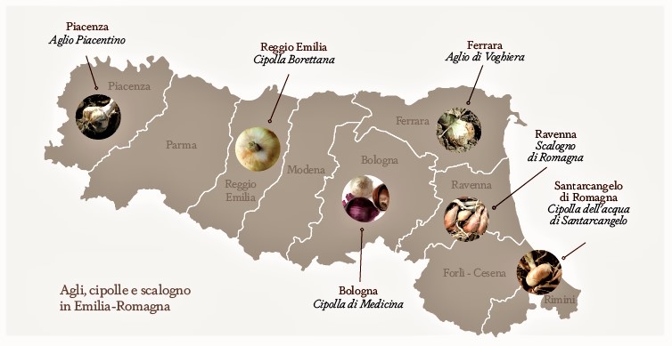 Agli, Cipolle e Scalogno dell’Emilia Romagna in 60 schede