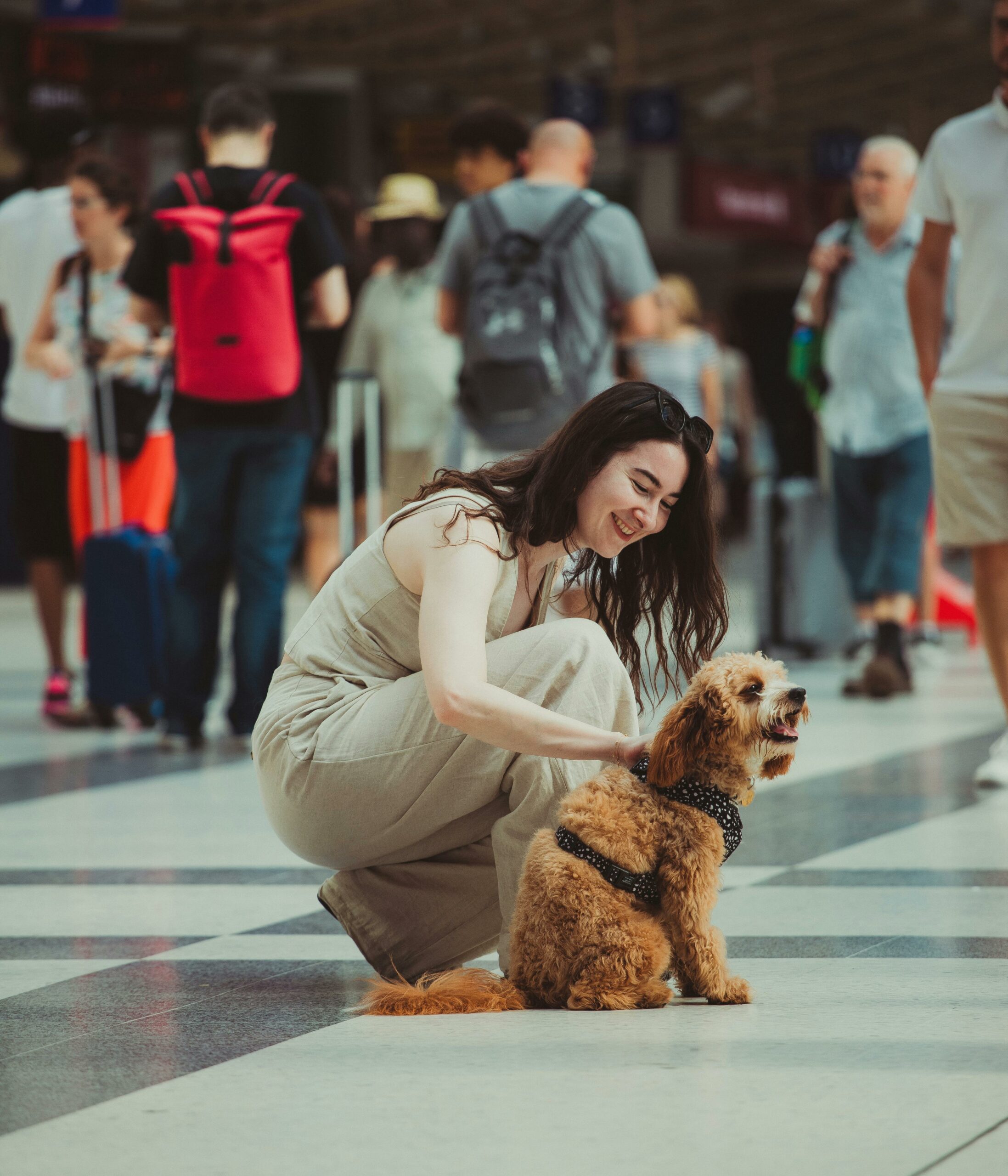 Trasporto di animali